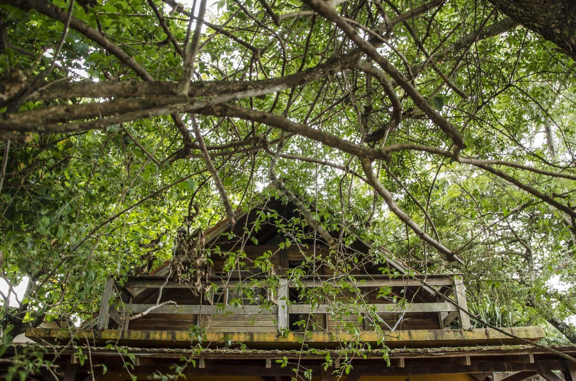 Sagui Hostel Florianopolis Exterior photo